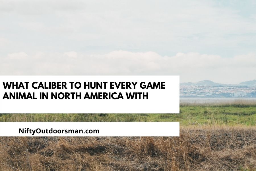 What caliber to hunt every game animal in North America With