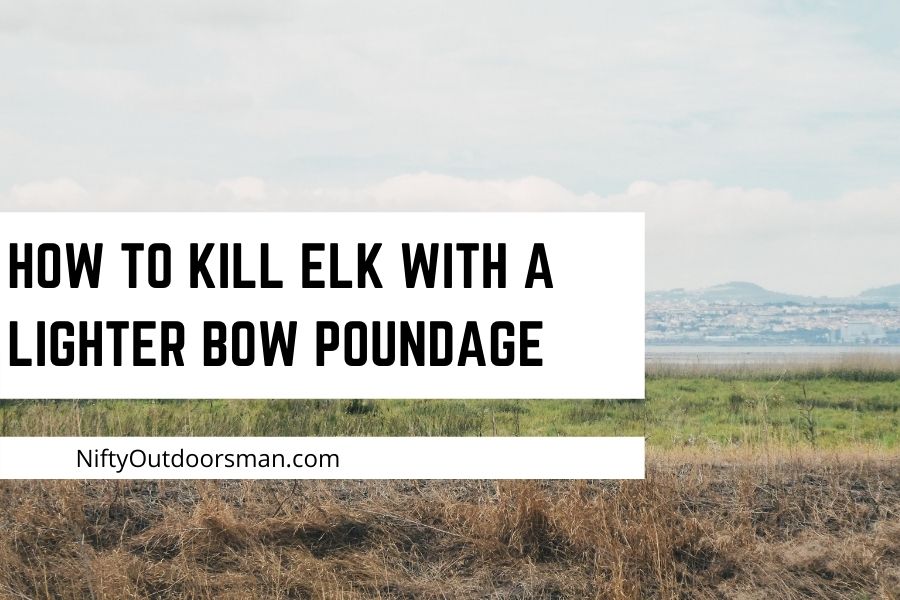 How to kill a elk with a lighter bow poundage
