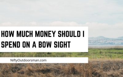 How much money should i spend on a bow sight?