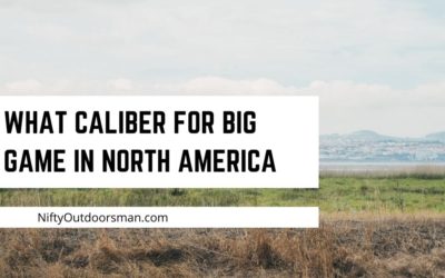 Best calibers for big game in North America