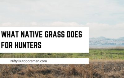 Why your property needs native grass