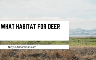 What is the best habitat for deer