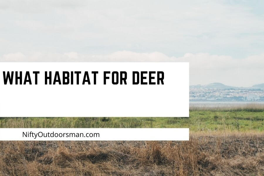 What is the best habitat for deer