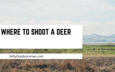 Where to shoot a deer with a rifle or bow
