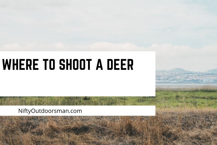 Where to shoot a deer with a rifle or bow