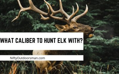 What caliber to hunt elk with