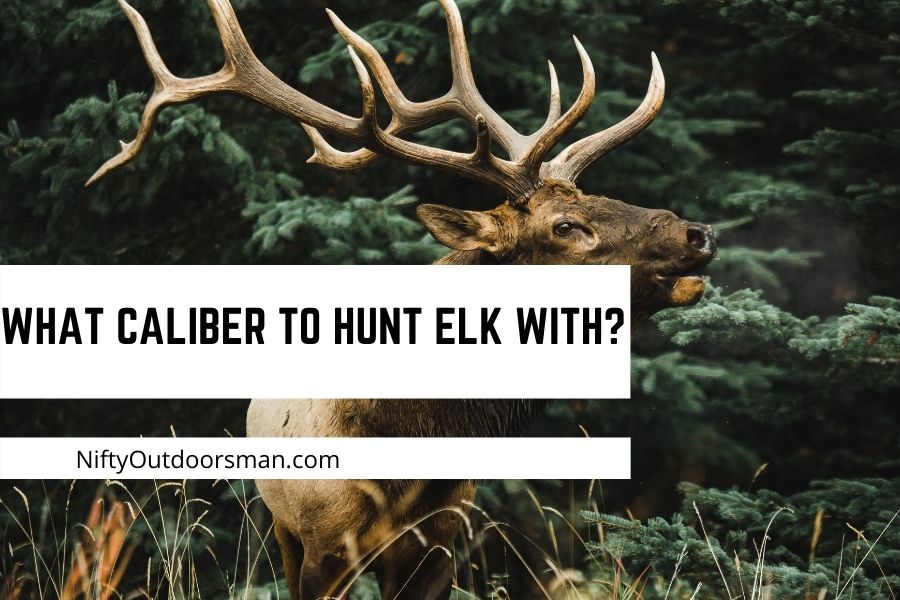What caliber to hunt elk with