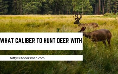 Best Deer Hunting Cartridges
