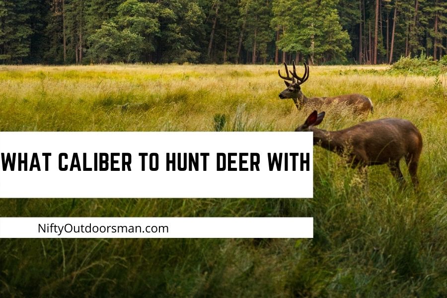 Best Deer Hunting Cartridges