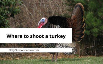 Where to shoot a turkey