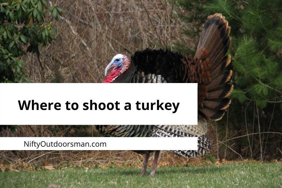 where-to-shoot-a-turkey-nifty-outdoorsman