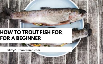 How to Catch Trout | A Beginners Guide
