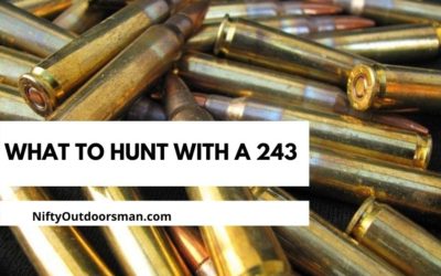 What Can You Hunt With a 243