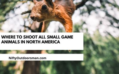 Small Game Shot Placement Guide