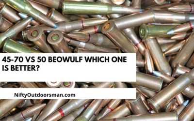 45-70 vs 50 Beowulf | Which One is Better?