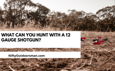 What Can You Hunt With a 12 Gauge Shotgun?