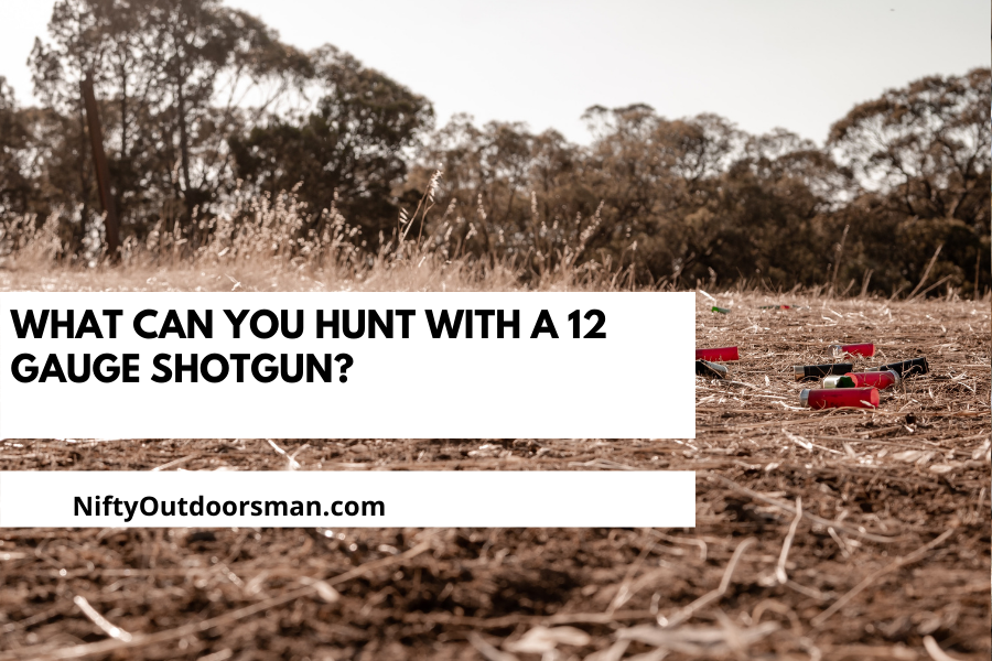 what-can-you-hunt-with-a-12-gauge-shotgun-nifty-outdoorsman