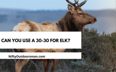 Can You Kill an Elk With a 30-30 Winchester?