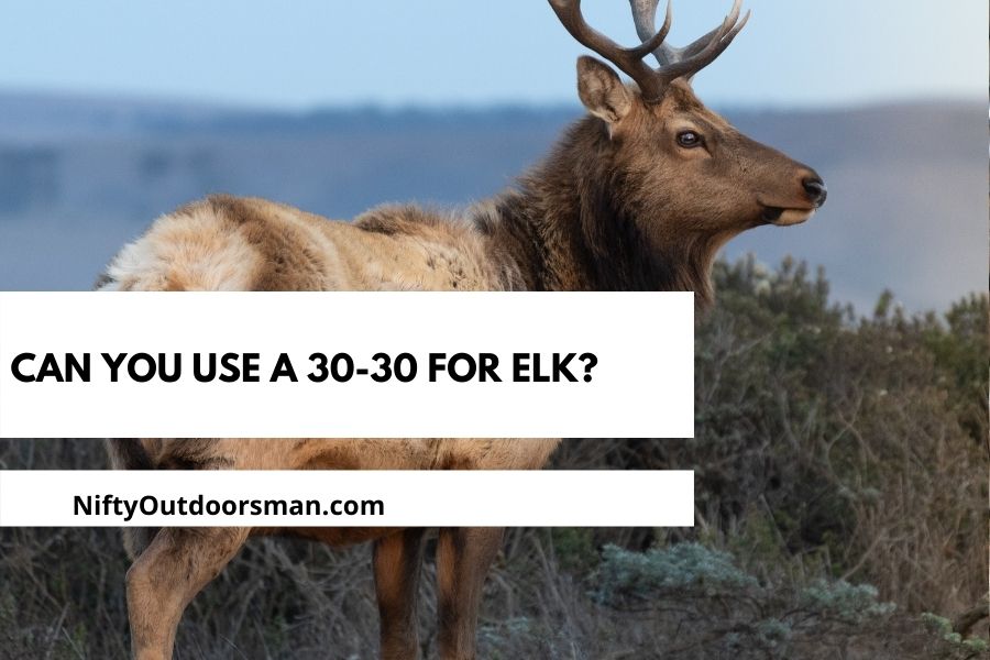 can-you-kill-an-elk-with-a-30-30-winchester-nifty-outdoorsman