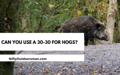 Can You Use The 30-30 Winchester For Wild Hogs?