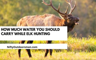 How Much Water You Should Carry While Elk Hunting