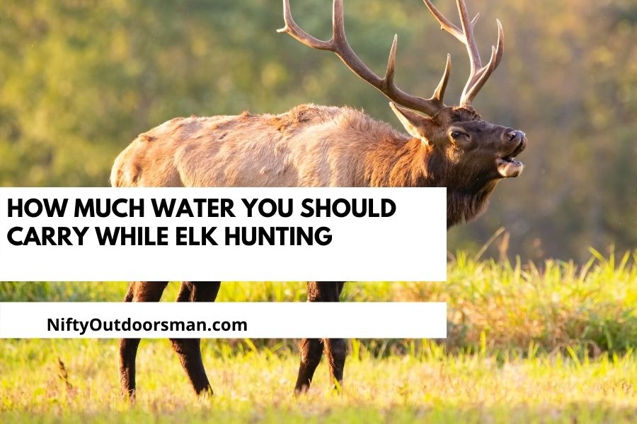 How Much Water You Should Carry While Elk Hunting