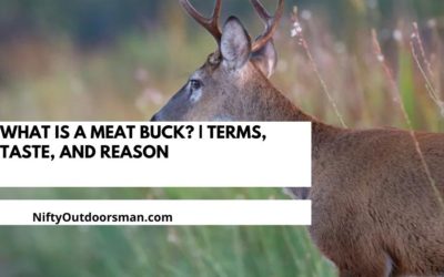 What is a Meat Buck? | Terms, Taste, and Reason
