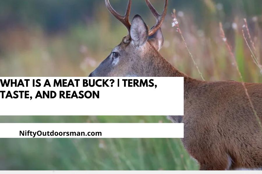 What is a Meat Buck? | Terms, Taste, and Reason