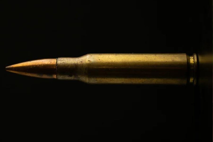 What Can You Hunt With a 240 Weatherby | Are There Better Calibers?