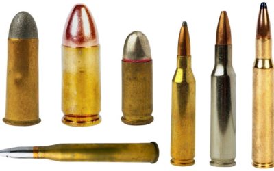 Can you hunt deer with a 50 Beowulf?