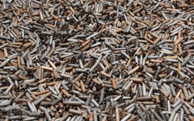 7.62x54r vs. 300 Win Mag | Which One is Better