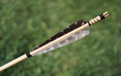 Can you use a 500-grain arrow for whitetail?