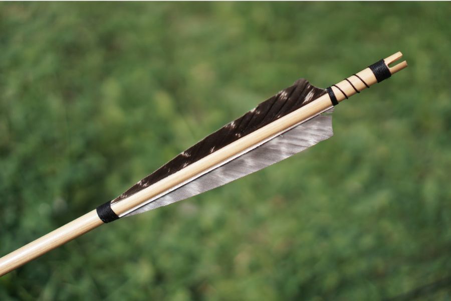 Can you use a 500-grain arrow for whitetail?