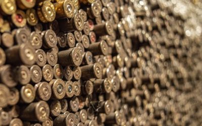 300 Win Mag vs. 450 Bushmaster | Which One is Better