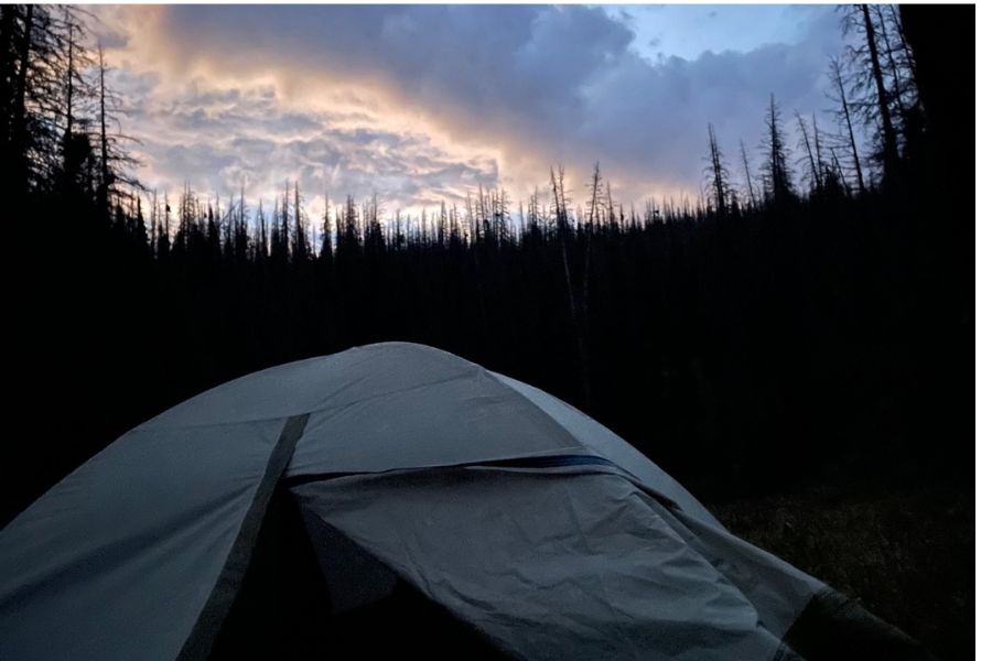 Tents vs. Tarps vs. Hammocks | What is The Best Sleeping Option?