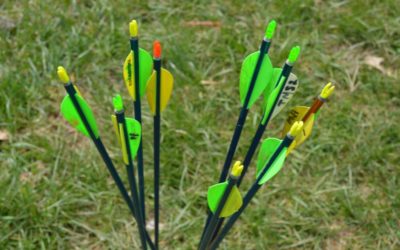 Best Archery Glue | How to Select The Best Glue