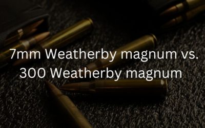 7mm Weatherby magnum vs. 300 Weatherby magnum | Caliber Comparison