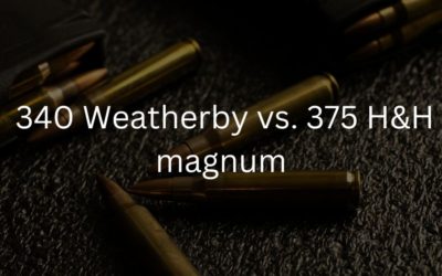 340 Weatherby vs. 375 H&H magnum | Caliber Comparison