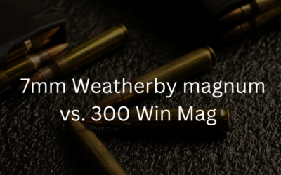 7mm Weatherby Magnum vs. 300 Winchester Magnum | Cartridge Comparison