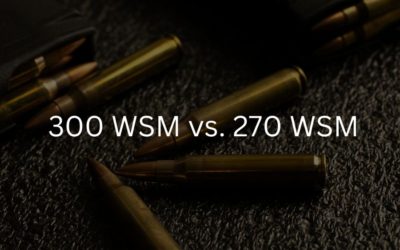 270 WSM vs. 300 WSM | Which is Better?
