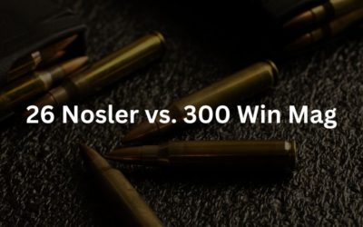 26 Nosler vs. 300 Win Mag l Caliber Comparison