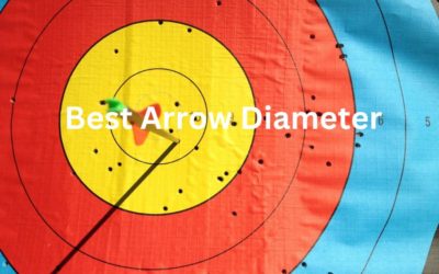 Best Arrow Diameter | For Hunting and Target shooting