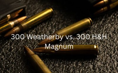 300 Weatherby vs. 300 H&H Magnum | Caliber Comparison