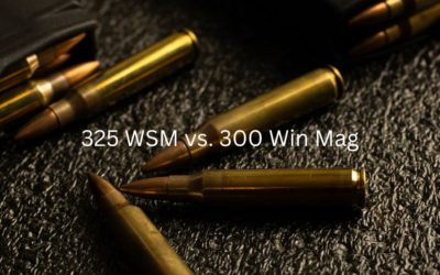 325 WSM vs. 300 Win Mag | Caliber Comparison