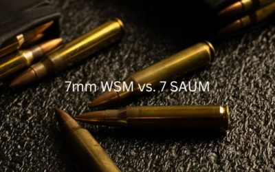 7mm WSM vs. 7 SAUM | Caliber Comparison