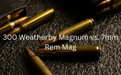 300 Weatherby Magnum vs. 7mm Rem Mag | Caliber Comparison