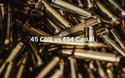45 Colt vs. 454 Casull | Cartridge Comparison