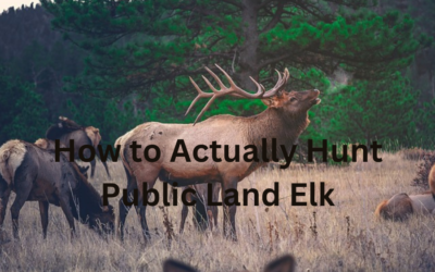 Public Land Elk Hunting Tips | And How to Not be a Jerk